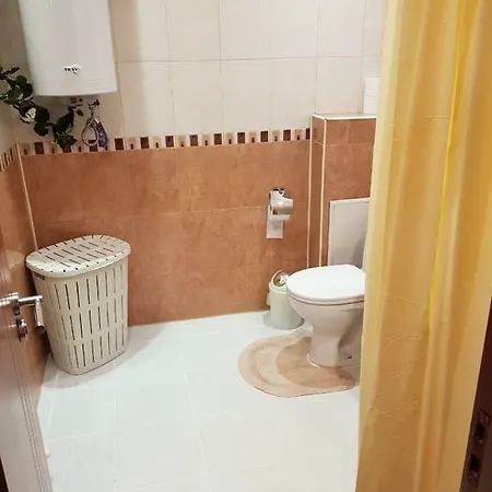 아파트 Top Center Maisonette By Maritza River 플로브디프